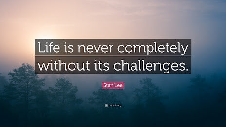 Navigating the Storm: Coping with Life's Challenges