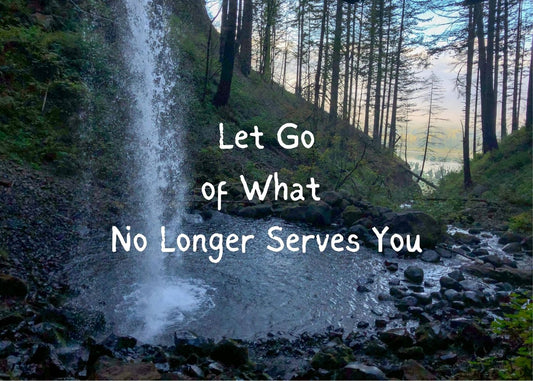 The Art of Letting Go: Overcoming Adversity by Releasing What No Longer Serves You